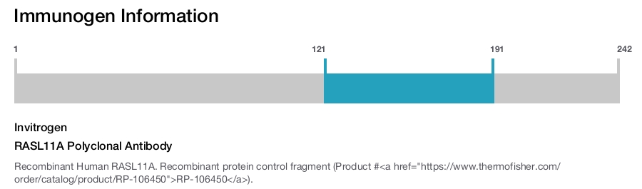 RASL11A Polyclonal Antibody