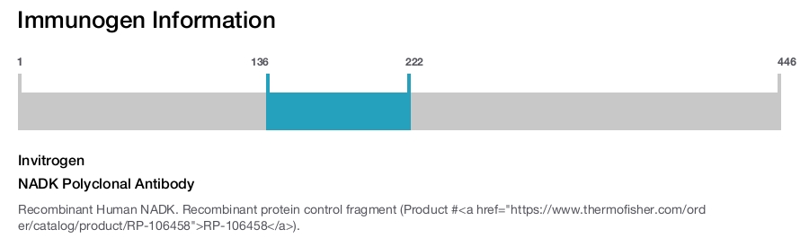 NADK Polyclonal Antibody