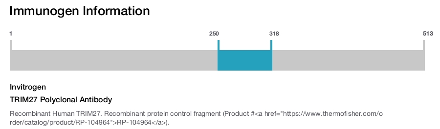 TRIM27 Polyclonal Antibody