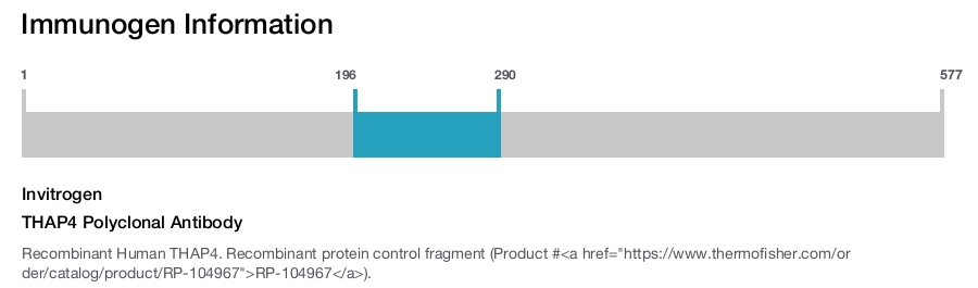 THAP4 Polyclonal Antibody