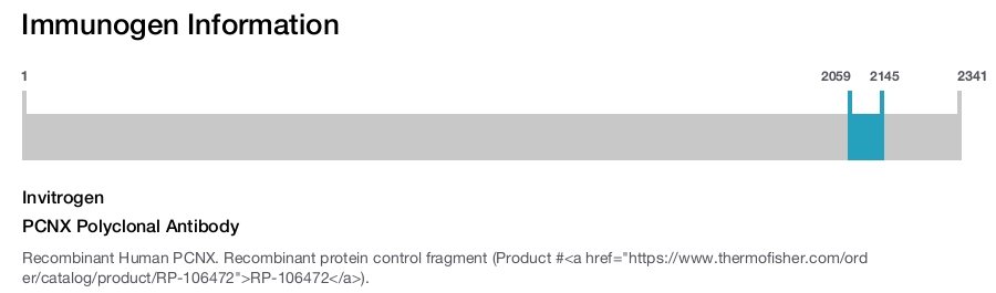 PCNX Polyclonal Antibody
