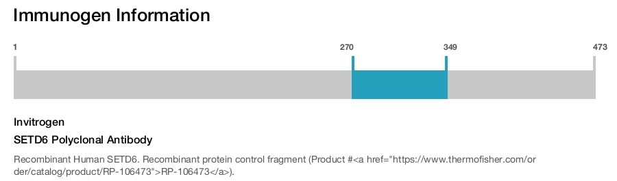 SETD6 Polyclonal Antibody
