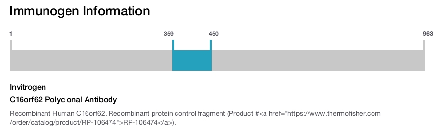 C16orf62 Polyclonal Antibody