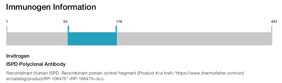 ISPD Polyclonal Antibody