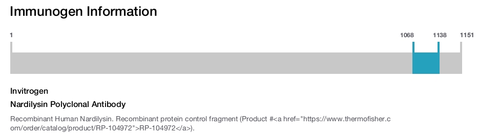 Nardilysin Polyclonal Antibody