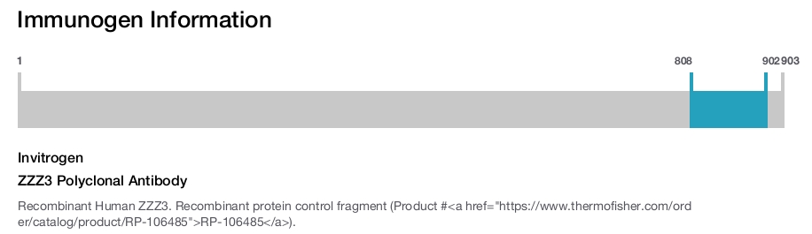ZZZ3 Polyclonal Antibody