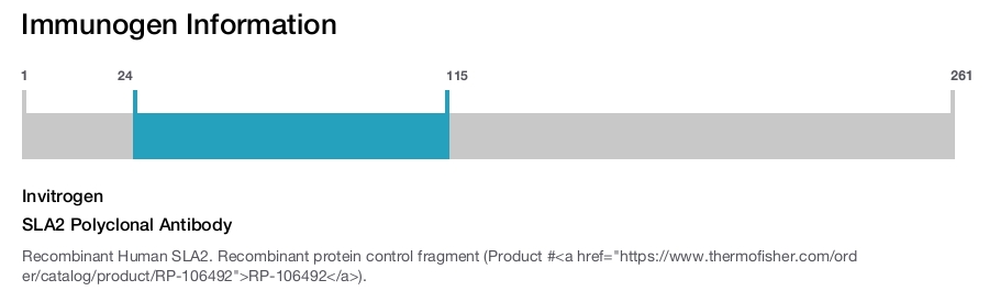 SLA2 Polyclonal Antibody