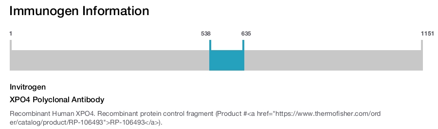 XPO4 Polyclonal Antibody