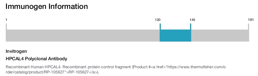 HPCAL4 Polyclonal Antibody