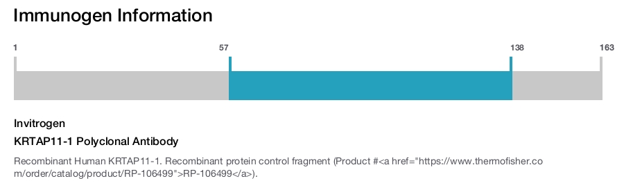 KRTAP11-1 Polyclonal Antibody