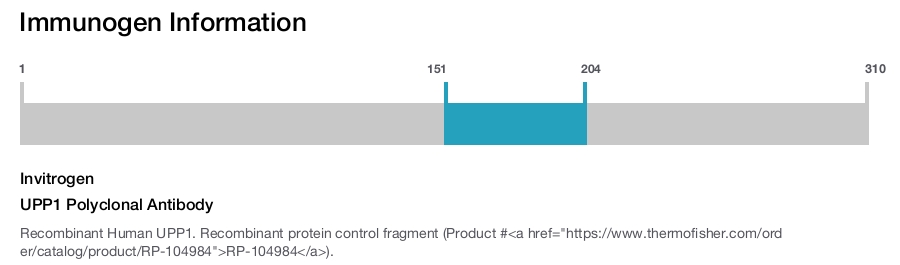 UPP1 Polyclonal Antibody