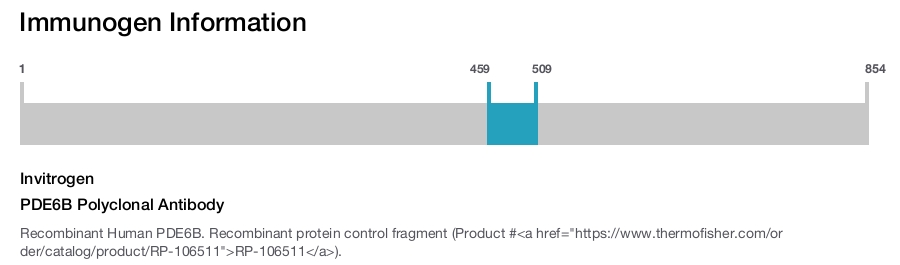 PDE6B Polyclonal Antibody
