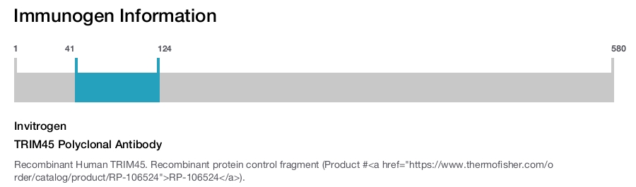 TRIM45 Polyclonal Antibody