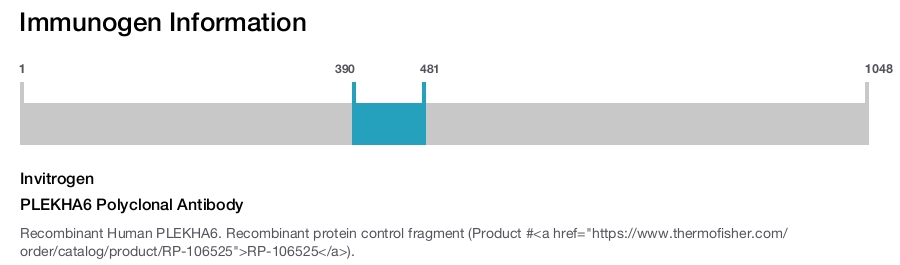 PLEKHA6 Polyclonal Antibody