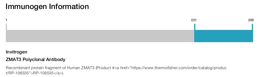 ZMAT3 Polyclonal Antibody