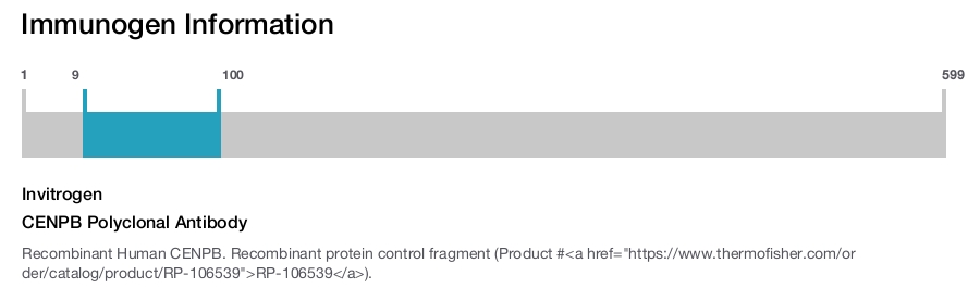 CENPB Polyclonal Antibody