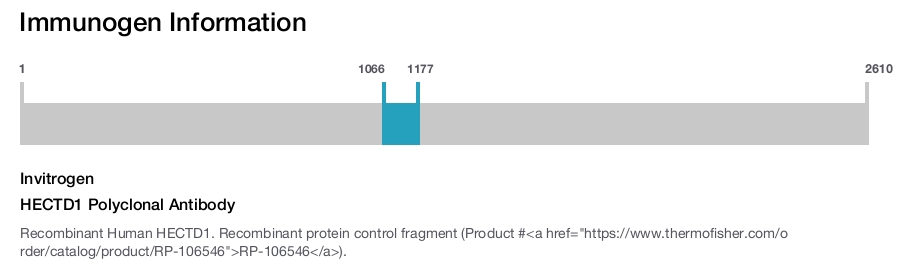 HECTD1 Polyclonal Antibody