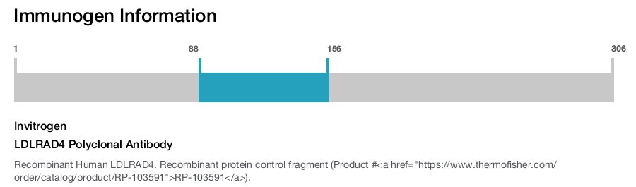 LDLRAD4 Polyclonal Antibody