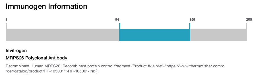 MRPS26 Polyclonal Antibody
