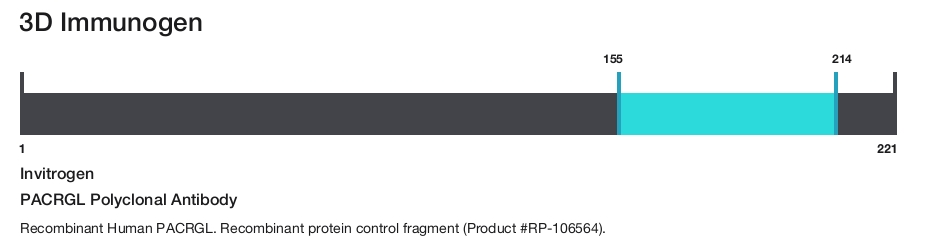 PACRGL Polyclonal Antibody