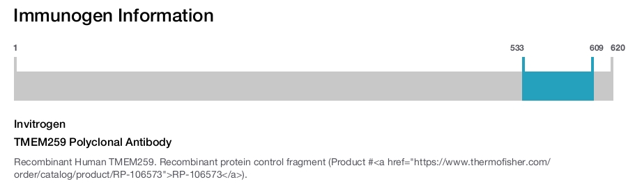 TMEM259 Polyclonal Antibody