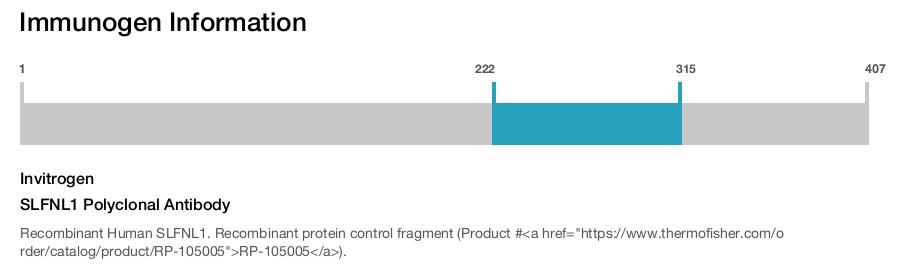 SLFNL1 Polyclonal Antibody