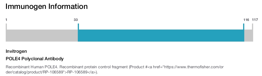 POLE4 Polyclonal Antibody