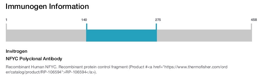 NFYC Polyclonal Antibody
