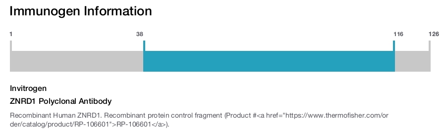 ZNRD1 Polyclonal Antibody