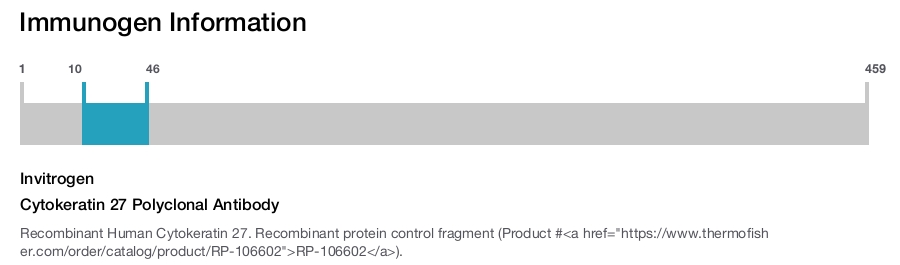 Cytokeratin 27 Polyclonal Antibody