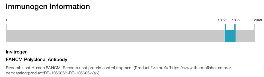 FANCM Polyclonal Antibody