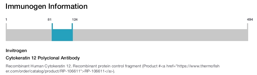 Cytokeratin 12 Polyclonal Antibody