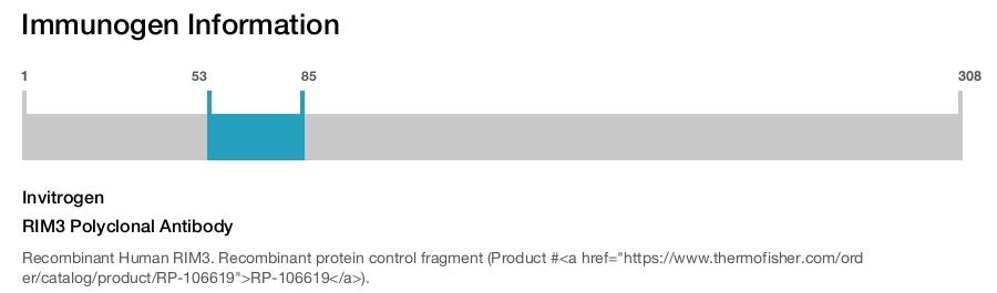 RIM3 Polyclonal Antibody