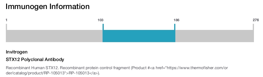 STX12 Polyclonal Antibody