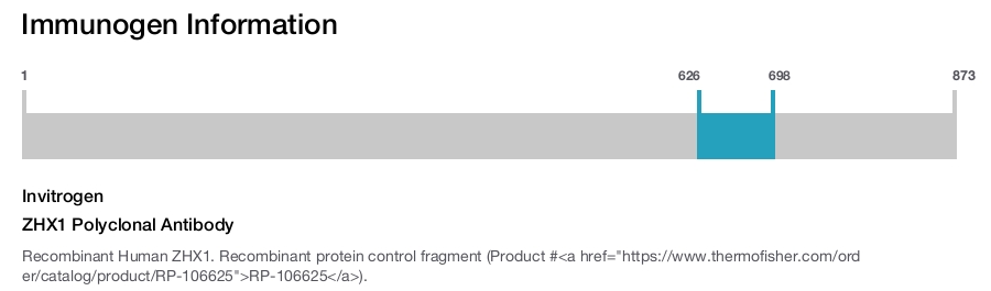 ZHX1 Polyclonal Antibody