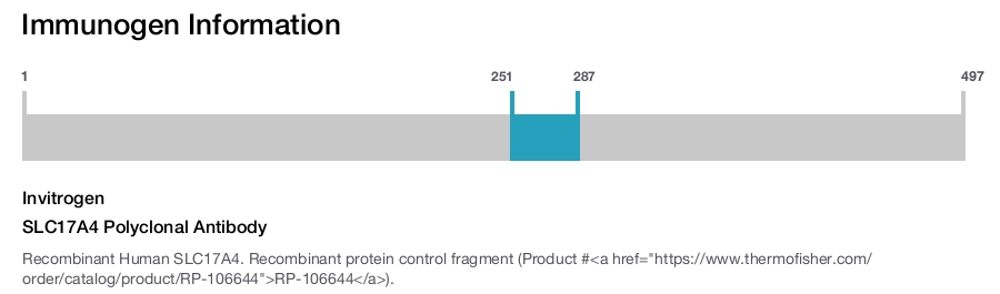 SLC17A4 Polyclonal Antibody