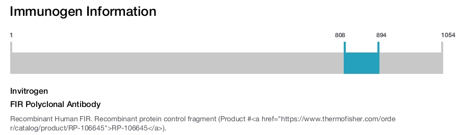 FIR Polyclonal Antibody