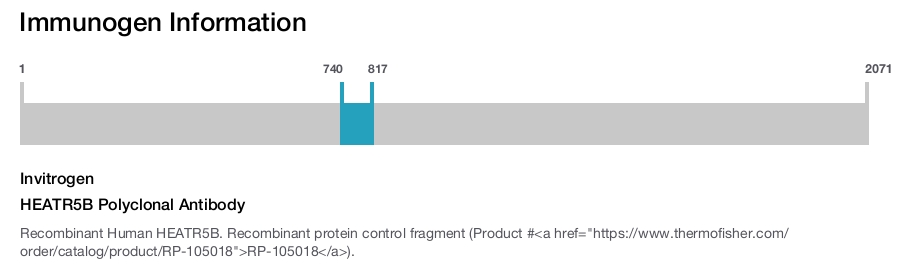HEATR5B Polyclonal Antibody
