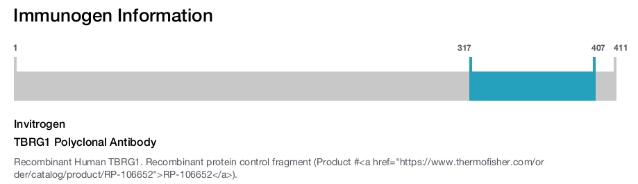 TBRG1 Polyclonal Antibody