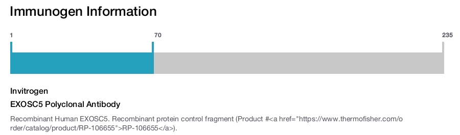 EXOSC5 Polyclonal Antibody