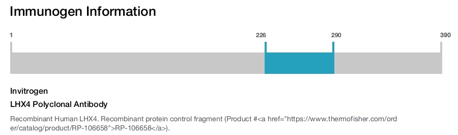 LHX4 Polyclonal Antibody
