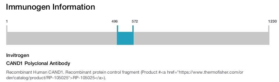 CAND1 Polyclonal Antibody