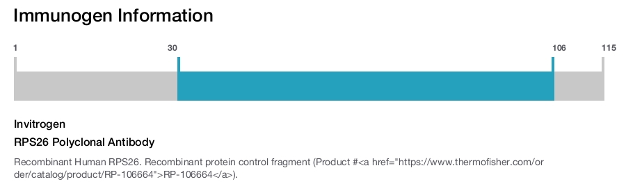 RPS26 Polyclonal Antibody