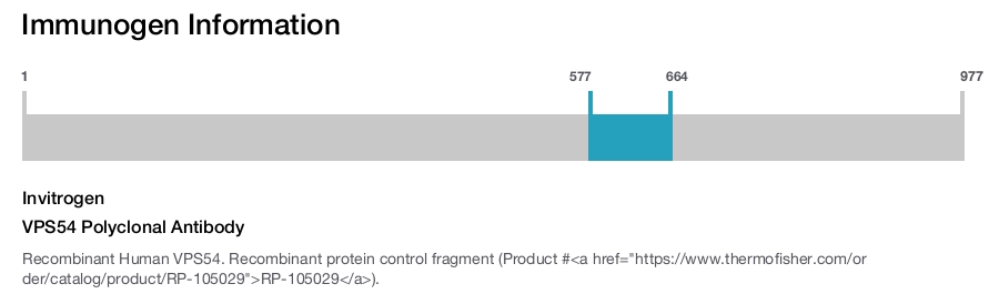 VPS54 Polyclonal Antibody