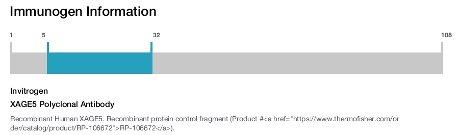 XAGE5 Polyclonal Antibody