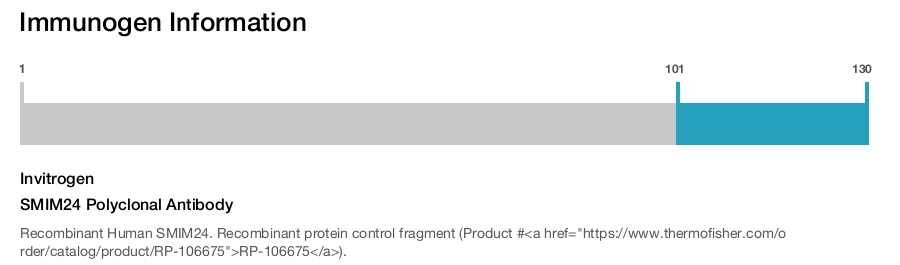 SMIM24 Polyclonal Antibody