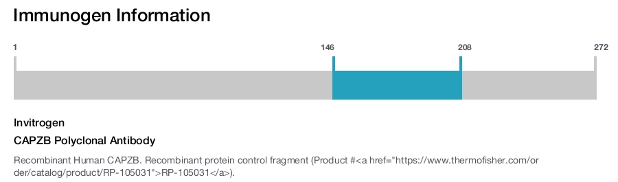 CAPZB Polyclonal Antibody