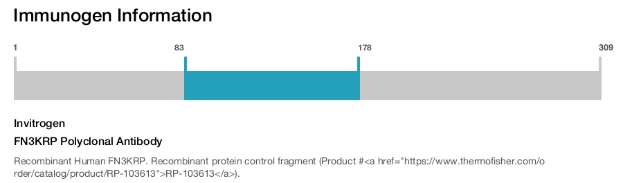 FN3KRP Polyclonal Antibody