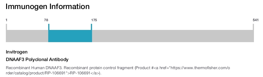 DNAAF3 Polyclonal Antibody