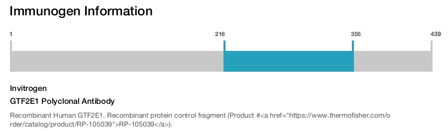 GTF2E1 Polyclonal Antibody